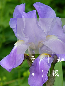 干貨|如何用一句話概況私募股權(quán)投資（PE）業(yè)務(wù)？
